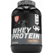 Mammut Whey Protein 3000 g - Iced Coffee