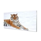 tulup.si Stenska plošča za kuhinjo Tiger zima 100x50 cm
