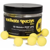 CC Moore NS1 Pop Ups 13-14mm Yellow