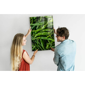 tulup.si Tabla magnetna Zelena paprika 60x90 cm