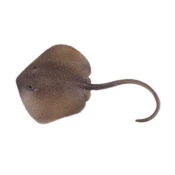 Figura Raja Trnucha istočna 18,5 cm