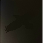 Sigur Rós - Odins Raven Magic (2 LP)