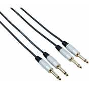 Bespeco RCW500