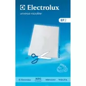 ELECTROLUX FILTER EF2