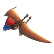 Safari Tapejara dinozaver