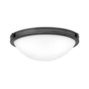 Hinkley HK-COLLIER-F-S-BX - Plafonsko svetlo COLLIER 2xE27/40W/230V O 34,6 cm