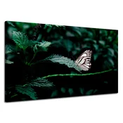 shumee Platno z motivom metulja na listu 120x70