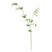 Shishi Cvetovi belega graha, višina 135 cm