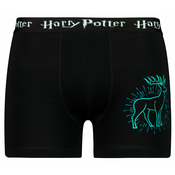 Mens boxer Harry Potter - Frogies