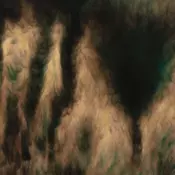 William Basinski - Lamentations (2 LP)