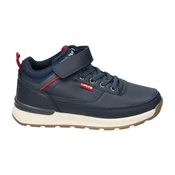 Levis 113429 pisana