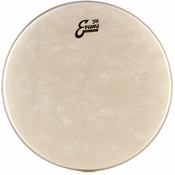Evans TT16C7 Calftone 16 opna za snare