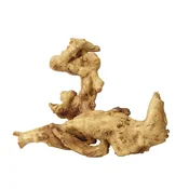 AQUA DELLA COFFEE ROOT 2