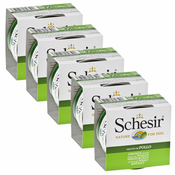 Schesir dog piščanec v želatini 5x150 g