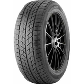 Double Star DW09 ( 245/45 R18 96T )