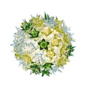 Kartell Bloom CW2 LED stropna svetilka G9, meta - Dnevna soba/jedilnica - Dizajn - zelena - Plastika