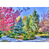 Grafika - Puzzle Colorful Forest, Colorado, USA - 500 kosov