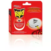 Raid Klopka za mrave