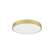 Immax NEO 07293L - LED+CCT prigušiva plafonsko svetlo SEMPLICI 60W/230V precnik 60 cm + daljinski upravljac