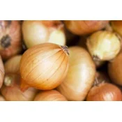 Šelotka rumena GG, 500 g