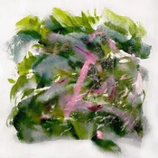 MIZU - Forest Scenes (Limited Edition) (Color-in-color Light Pink & Red Coloured) (LP)