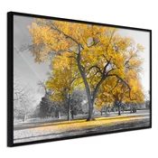 Poster - Golden Tree 30x20