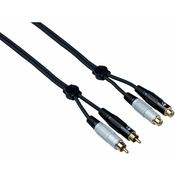 Bespeco EA2X300