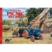 SALMON FAVOURITE PICNIC RECIPES