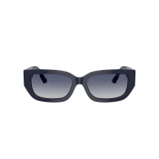 Jimmy Choo Naocare za sunce JC 5017 50164L