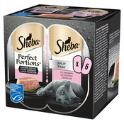 Sheba Perfect Portions - losos 6 kosov