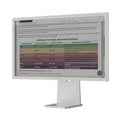 Barvni monitor E-Ink BOOX Mira Pro - 25,3 (PC)