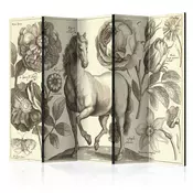 artgeist Paravan Horse I, 5-Delni, Dvostranski