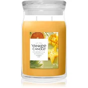 Yankee Candle Starfruit & Sunshine dišeča sveča 567 g