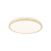 Lesnina STROPNA LED-SVETILKA  18 W  230 V