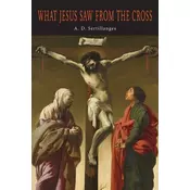 What Jesus Saw from the Cross
