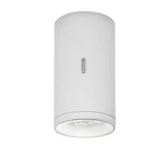 CALUMET 13 NADSTROPNI REFLEKTOR BELA/SIVA 7,5 W 3000 K 554 lm AR41961LW00