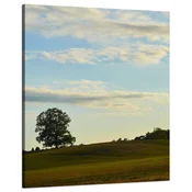 shumee Platno Narava Drevo na polju 80x100 cm Nebo Travnik Oblaki