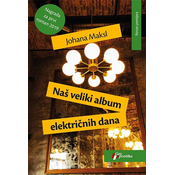 Naš veliki album elektricnih dana