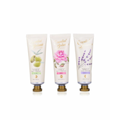 ACCENTRA KREMA ZA ROKE 60ml ESSENTIAL BOTANICS - CLASSICS 1 kos