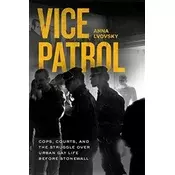 Vice Patrol