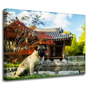 shumee Platno s tiskom Živali Mops 40x30 cm
