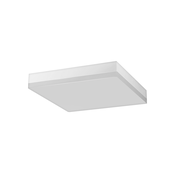 LED kupatilsko plafonsko svetlo LED/12W/230V IP44