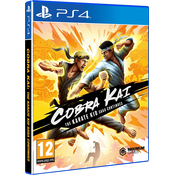 PS4 Cobra Kai: The Karate Kid Saga Continues