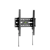 Gembird Nosilec za TV WM-75T-04 37-75
