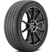 Bridgestone Potenza S005 ( 225/40 R19 93Y XL sa zaštitom za felne (MFS) )