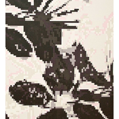 Tapeta 301832, 70cmx10m