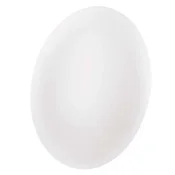 LED svetilo nadometno FIONI, okroglo, 18W, IP44, nevtralno bela