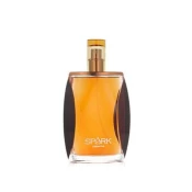 Liz Claiborne Spark for Men 100 ml kolonjska voda za moške