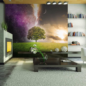 Foto tapeta - Magic tree 300x231
