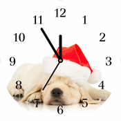 tulup.si Steklena ura Puppy Cap Santa Claus Zima Črne kazalke 30x60 cm
